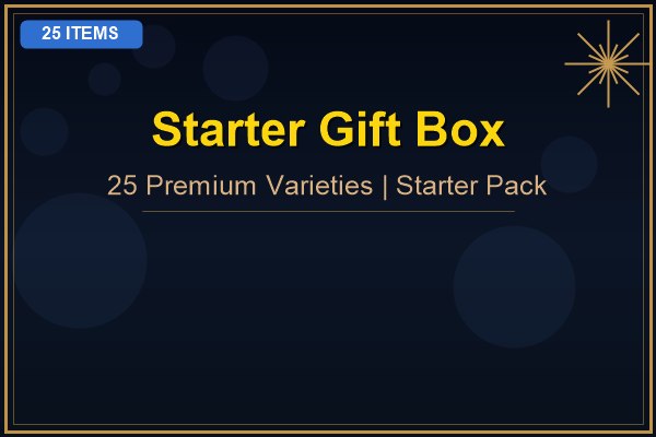 Starter Gift Box 25 Items